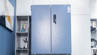 冰箱什么牌子好又省电质量又好的_冰箱什么牌子好又省电质量又好