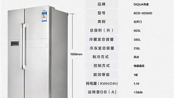 西门子双开门冰箱尺寸规格_西门子双开门冰箱尺寸规格一般是多少