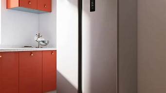 电冰箱的功率一般是多少瓦_电冰箱的功率一般是多少瓦-