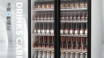 冰箱展示柜尺寸_冰箱展示柜尺寸规格