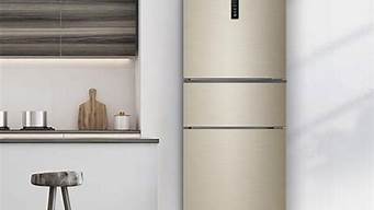 冰箱质量哪个好_容声冰箱与美的冰箱质量哪个好