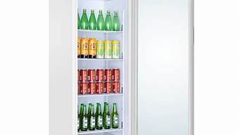 展示柜冰箱单门玻璃_展示柜冰箱单门玻璃怎