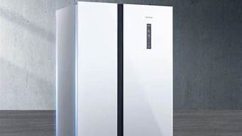西门子冰箱哪款质量好性价比高_西门子冰箱