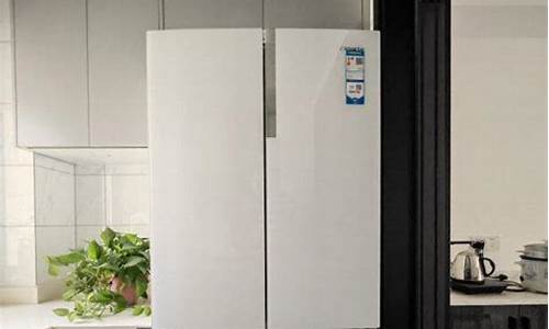 家用冰箱什么品牌好_家用冰箱什么品牌好又