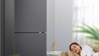 冰箱什么牌子好又省电质量又好的_冰箱什么牌子好又省电质量又好的