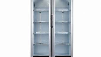 双门冰箱展示柜